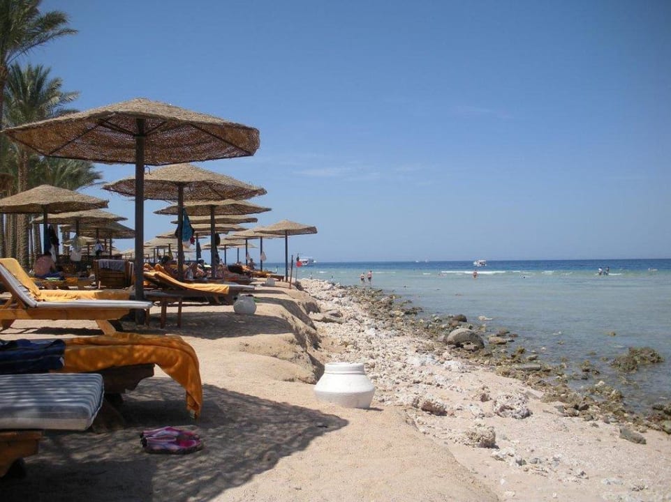 Strandliegen Makadi Palace