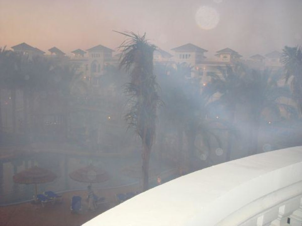 Kampf gegen Insekten ohne  Erfolg! Hotel Tropicana Azure Club