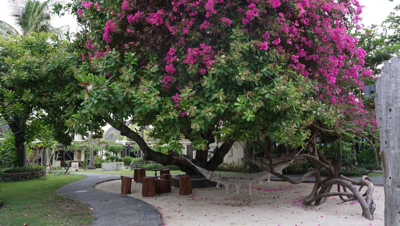 Garten Hotel Vila Ombak