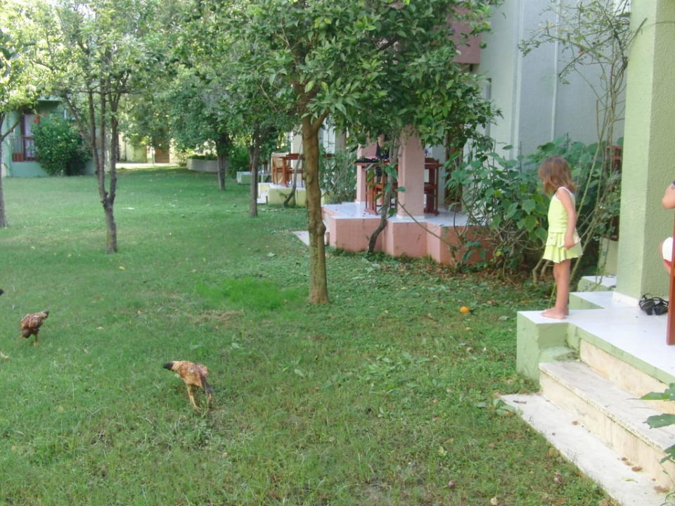 Der Garten im Geolden Beach VONRESORT Golden Beach