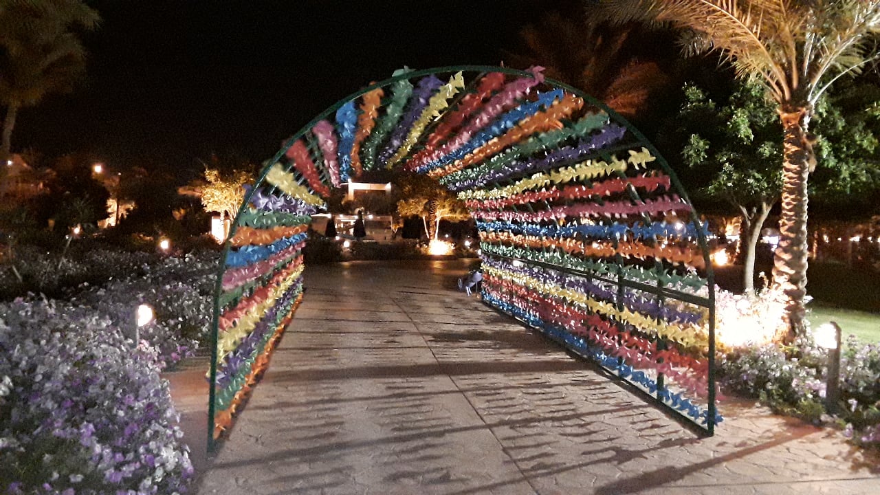 Gartenanlage Desert Rose