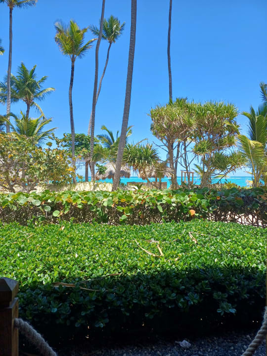 Gartenanlage Hotel Grand Palladium Palace Resort, Spa & Casino