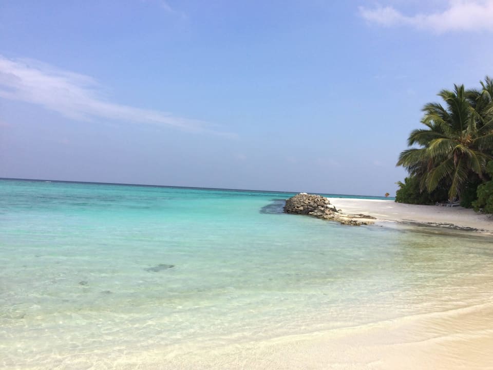 Hier kann man sich erholen! Summer Island Maldives