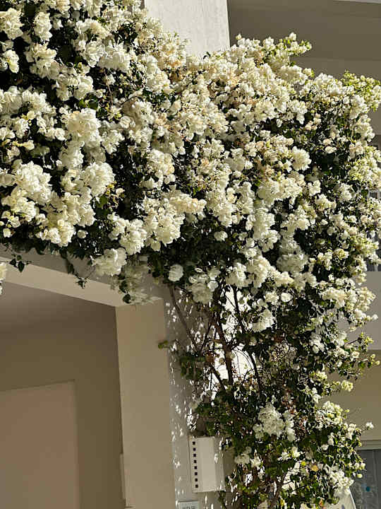 Gartenanlage Jaz Aquaviva