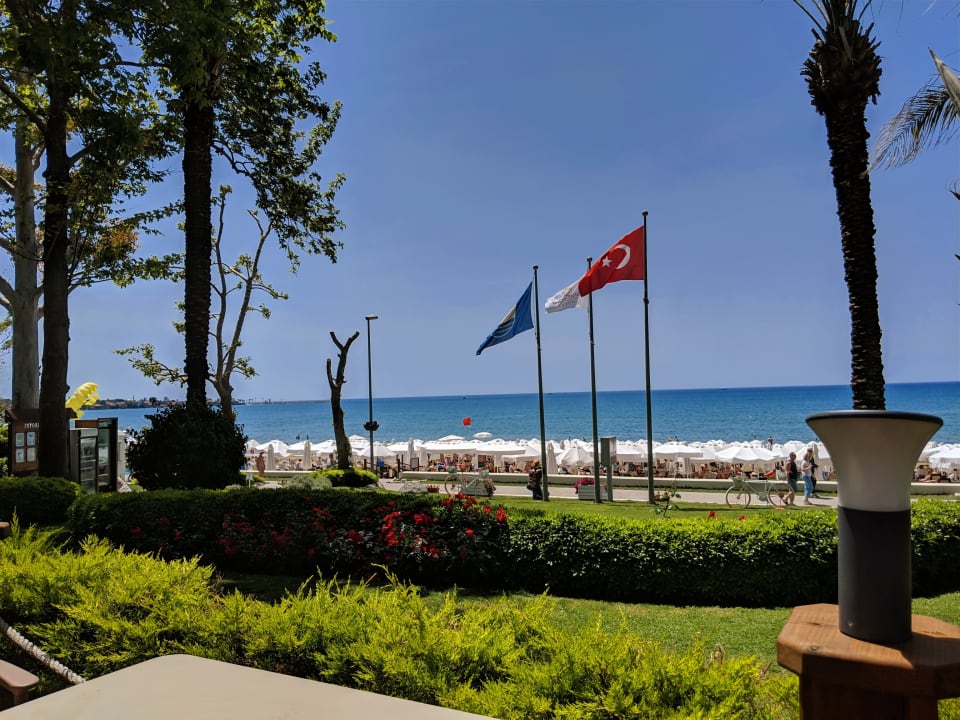 Gartenanlage Side Star Elegance