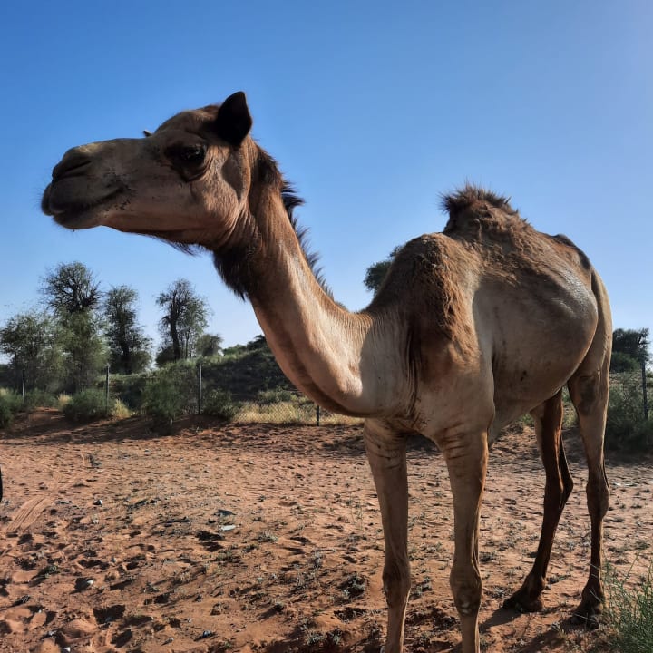 Sport & Freizeit Hampton by Hilton Marjan Island