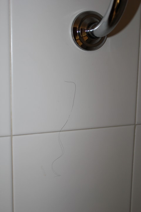 Haare, wohin man auch sieht Comitas Floramar