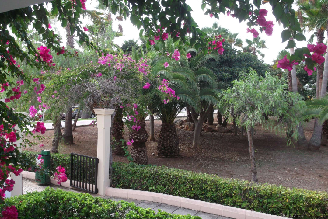 Ausblick von Terrasse Hipotels Mediterraneo Club