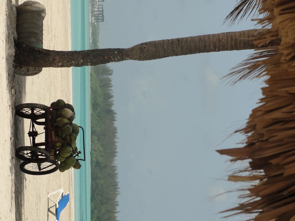 Strandimpression BelleVue Dominican Bay