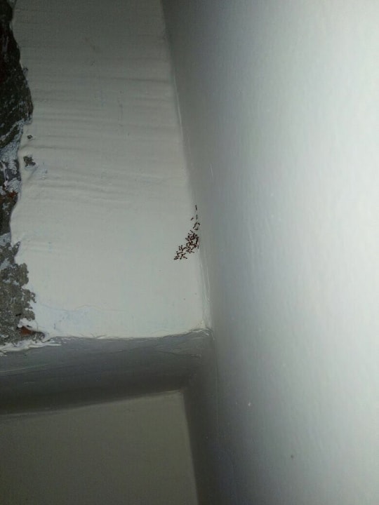 Sonstiges Three Corners Sea Beach Resort