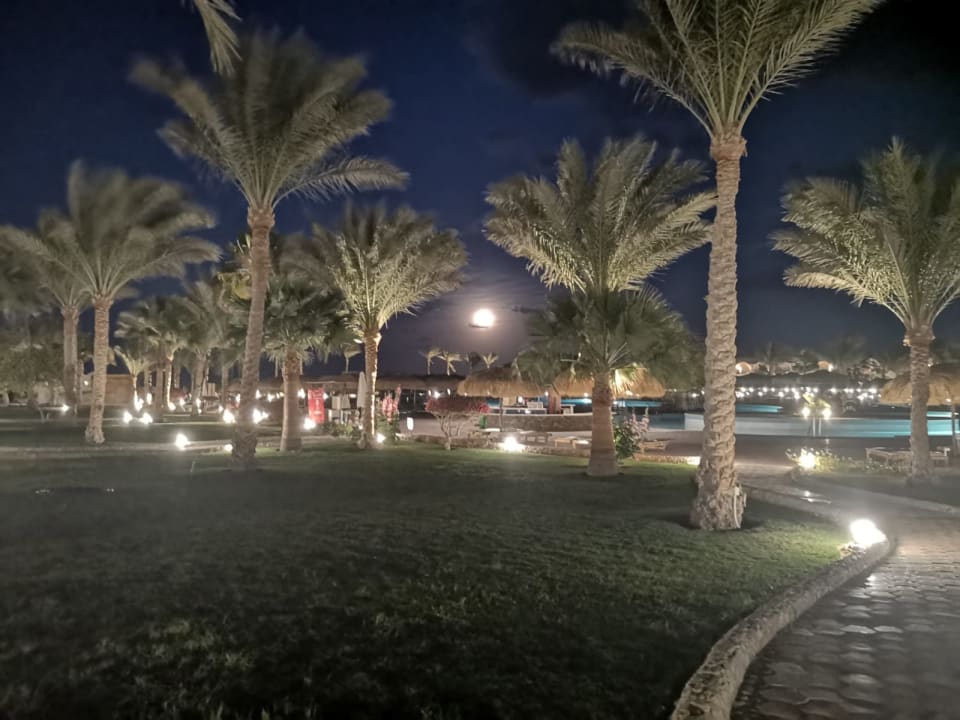 Gartenanlage Three Corners Sea Beach Resort