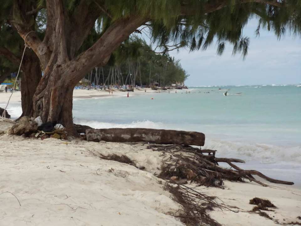 Spaziergang am Strand Villas Bavaro Resort & Spa