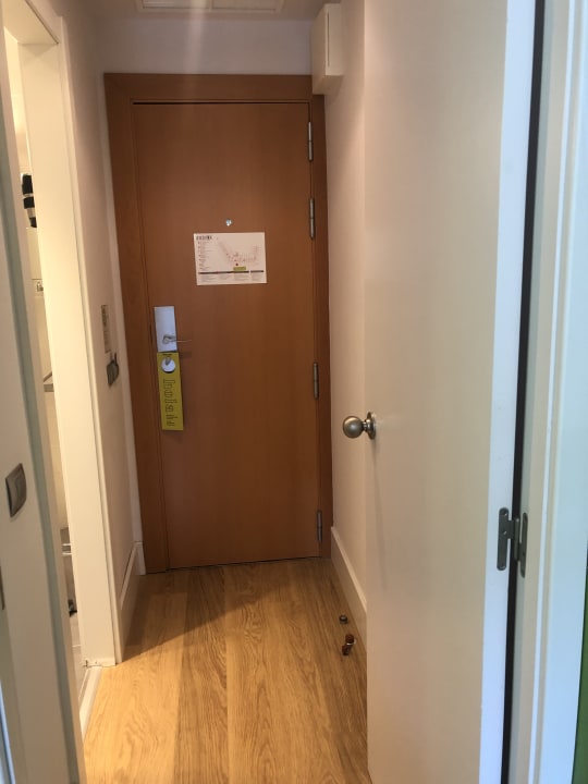 Zimmer Artiem Audax
