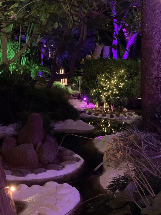 Gartenanlage Hotel Parque Tropical