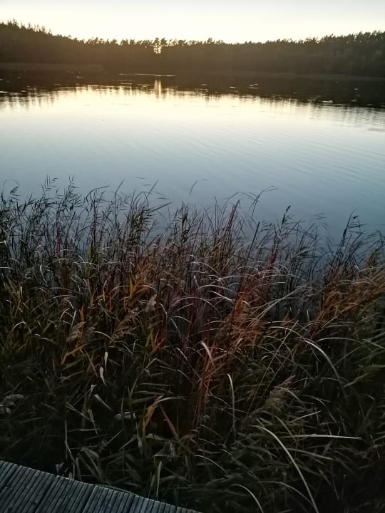 Ausblick Van der Valk Naturresort Drewitz