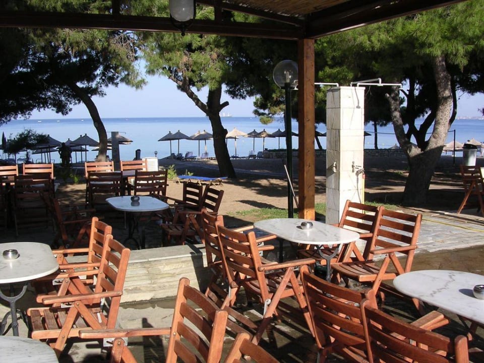 Blick von der Poolanlage zum Strand Hotel Portes Beach
