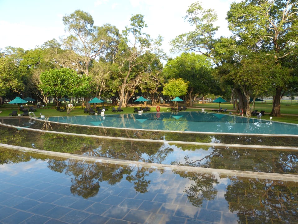 Pool Habarana Village by Cinnamon