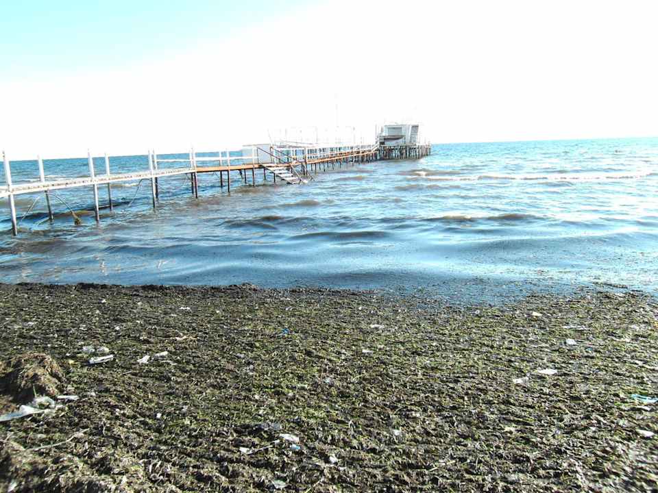 Strandbar inmitten Kloake Alassio Hotel and Thalasso