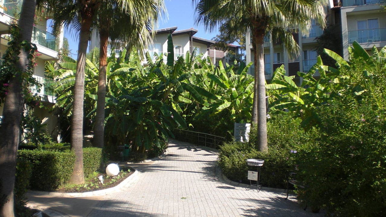 Top alles grün Sealife Buket Resort & Beach