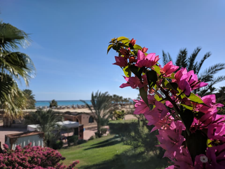 Ausblick Hotel Blue Lagoon