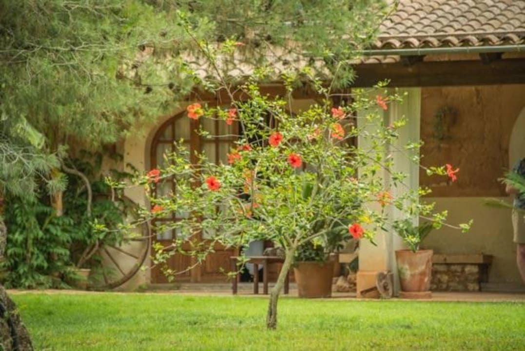 Son Mercadal  Finca Son Mercadal