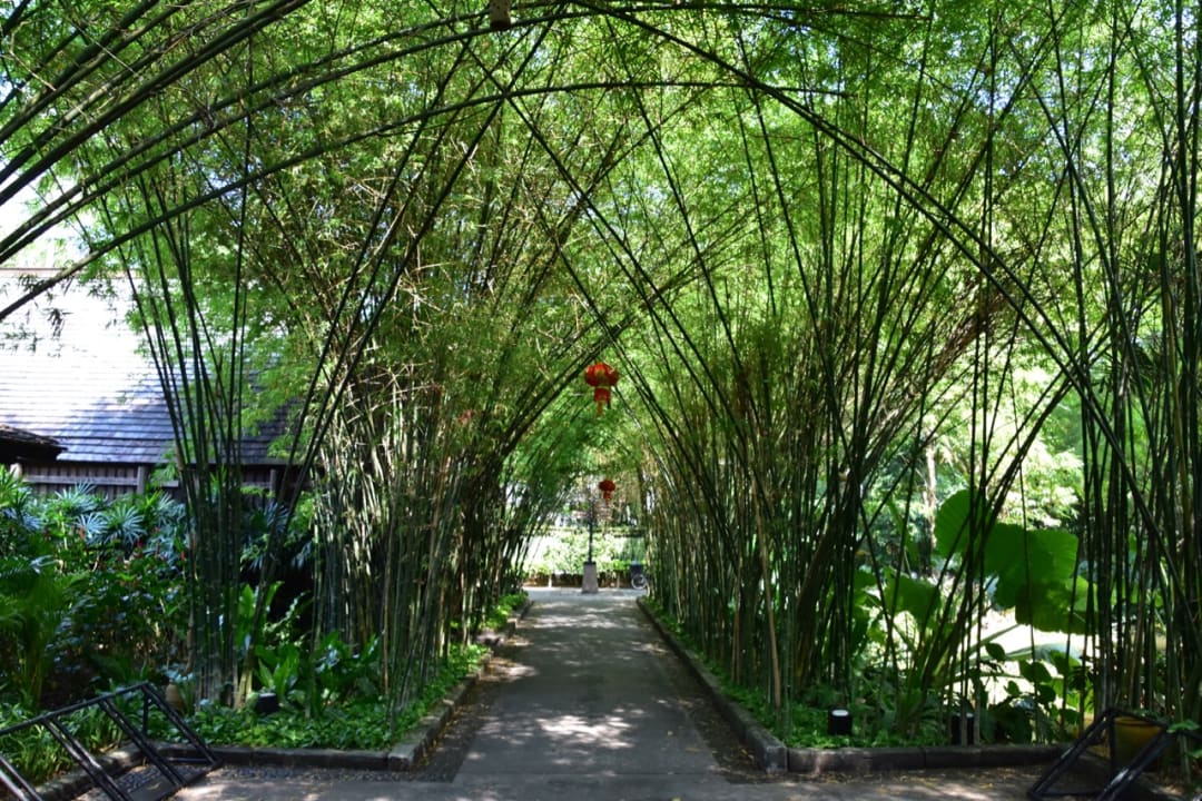 Gartenanlage Anantara Mai Khao Phuket Villas
