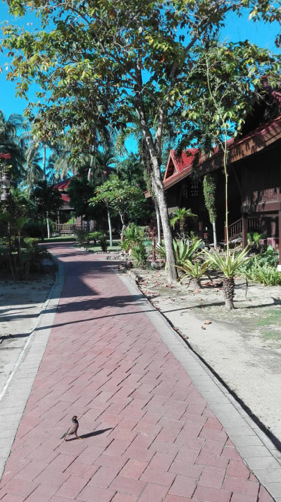Hotelanlage Pelangi Beach Resort & Spa