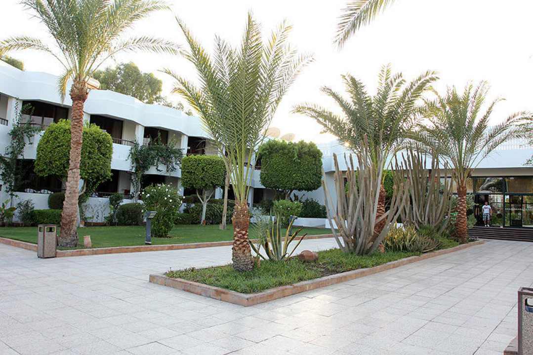 Palmen Ghazala Beach