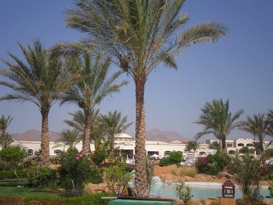 Ogród Regency Plaza Aqua Park & Spa