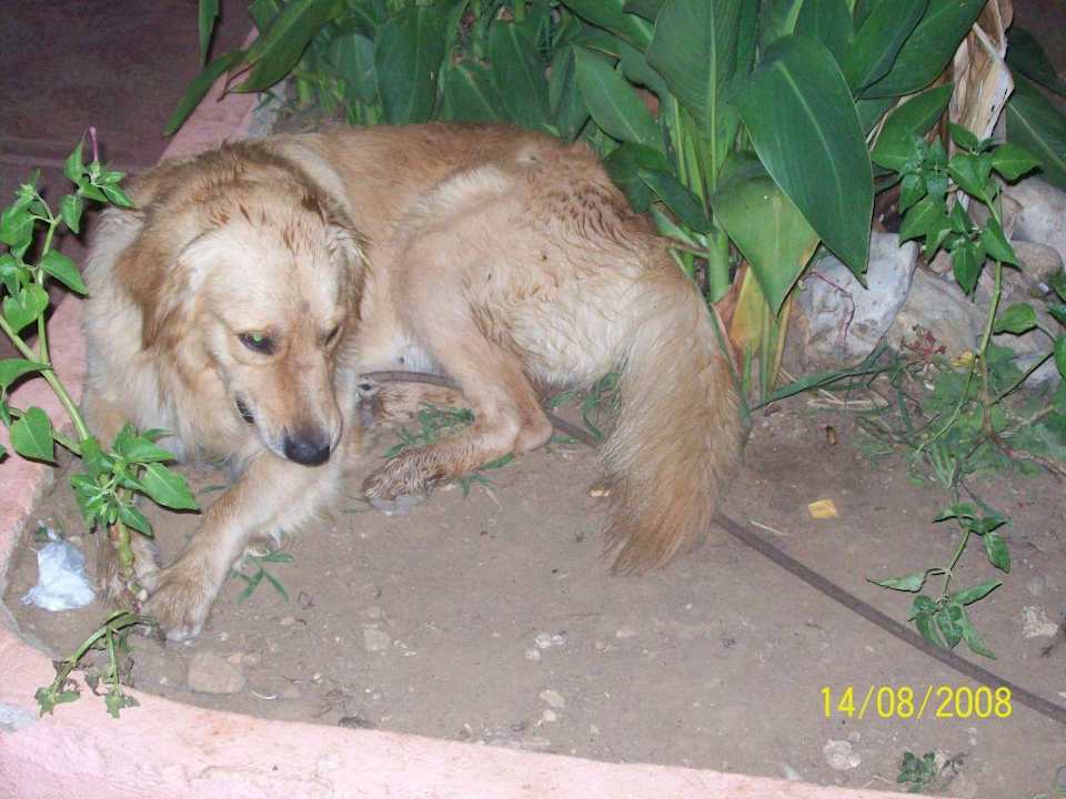 Security II... Hotel Mari