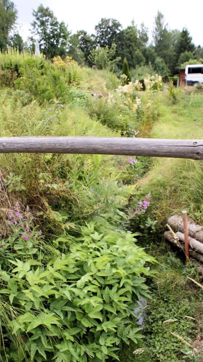 Bachlauf Hotel Brunnenhof