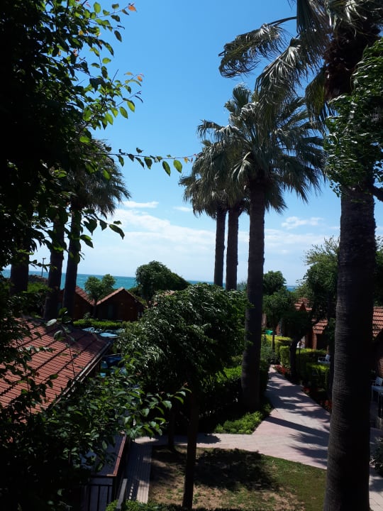 Ausblick Can Garden Beach