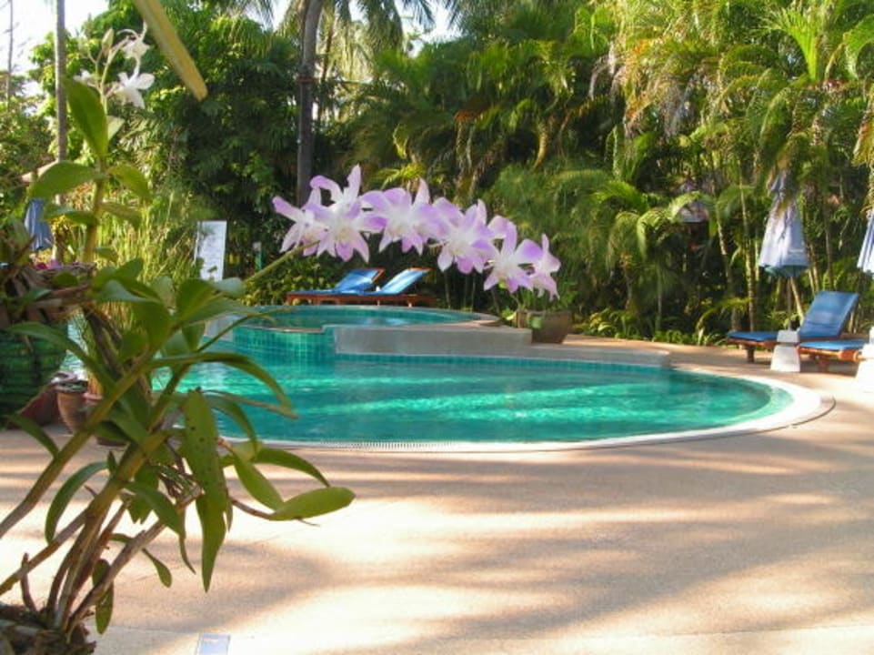 Strand-Pool The Fair House Beach Resort