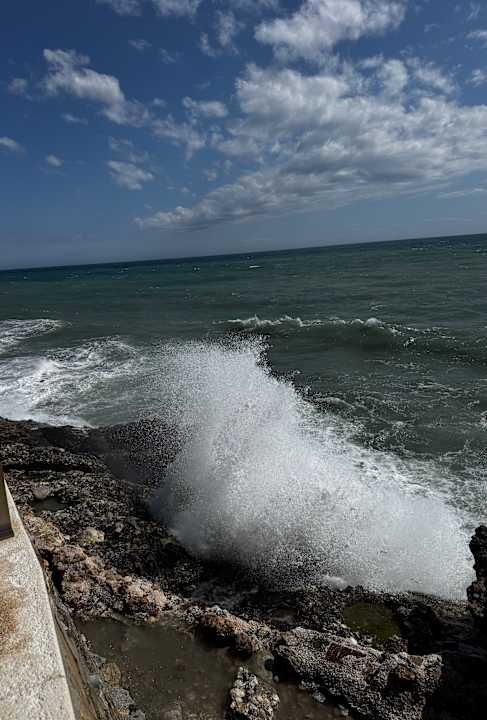 Strand Hotel Riu Monica - Adults only