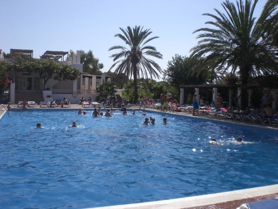 Pool Cala Llenya Resort Ibiza