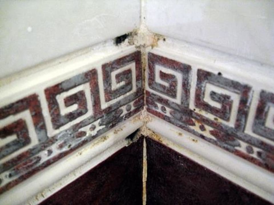 In der Badewanne Kamelya Aishen Club