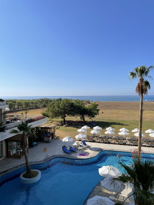 Ausblick Asteria Bloom Side