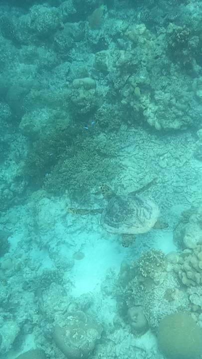 Sonstiges Le Meridien Maldives Resort & Spa