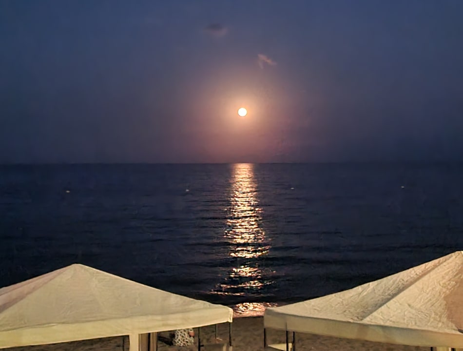 Ausblick TUI MAGIC LIFE Beldibi +16