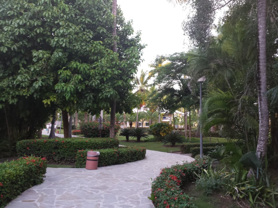 Hotel Grand Palladium Palace Resort, Spa & Casino Hotel Grand Palladium Palace Resort, Spa & Casino