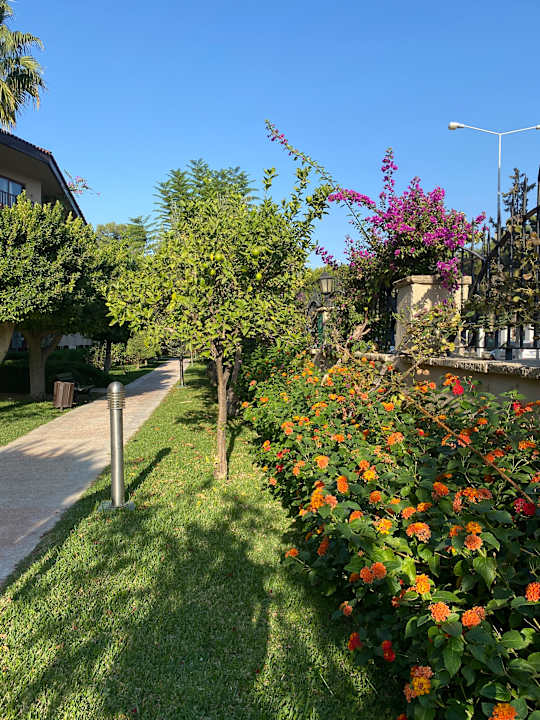 Gartenanlage Alba Resort Hotel