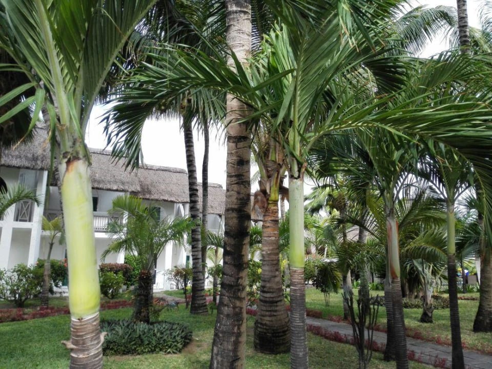 Garten Veranda Palmar Beach Hotel