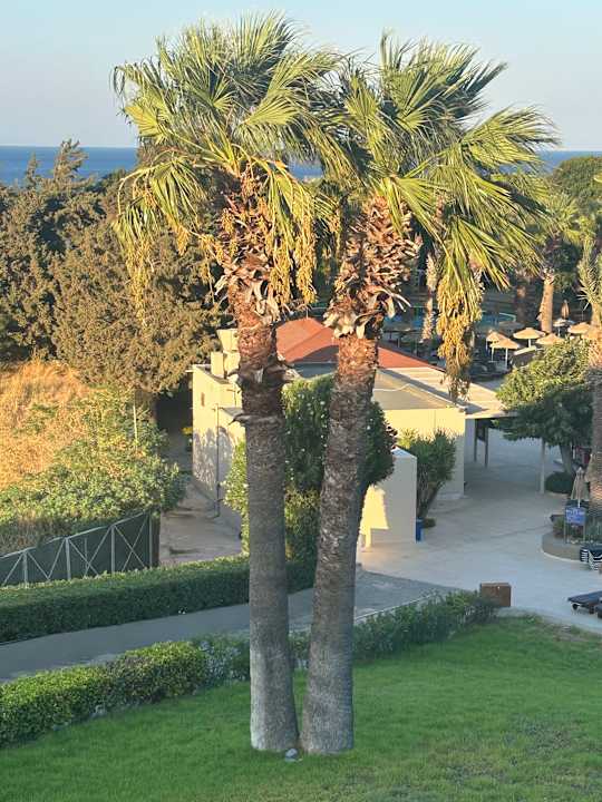 Gartenanlage Kresten Palace Hotel