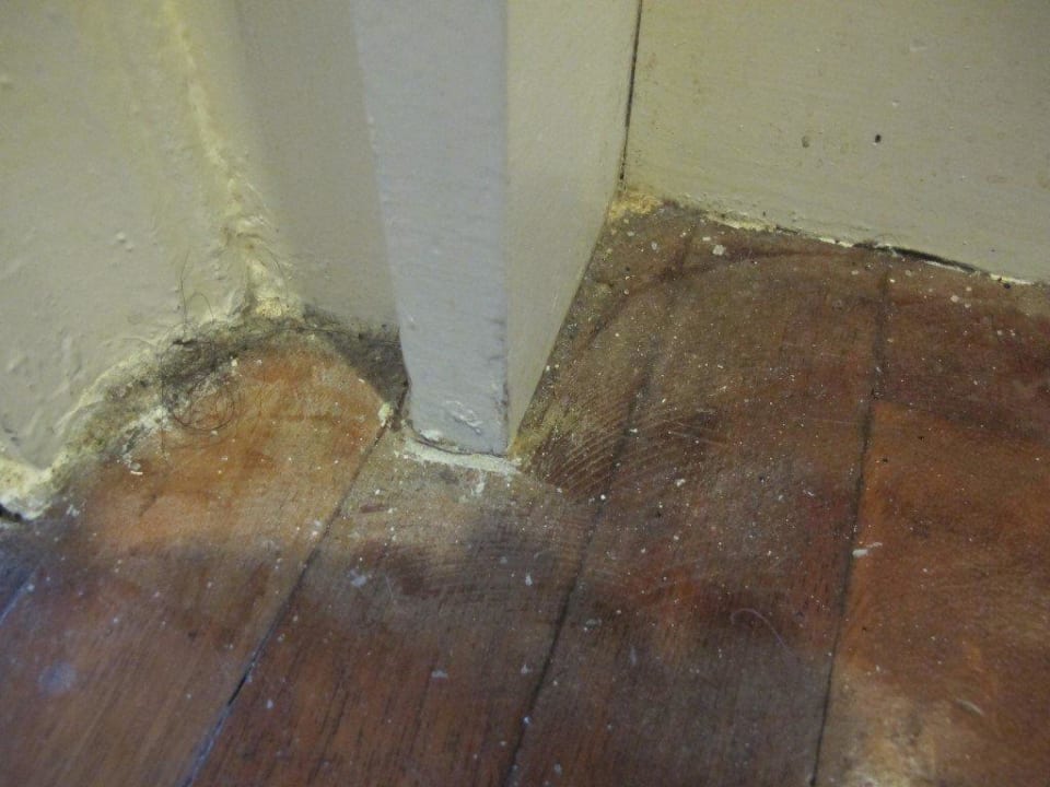 Flurbereich am Türrahmen zum Hauptzimmer Hotel Cameron Highlands Resort