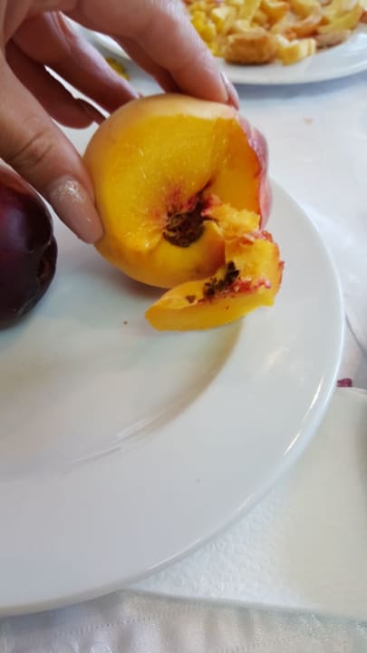 Restaurant Hotel Laguna Garden