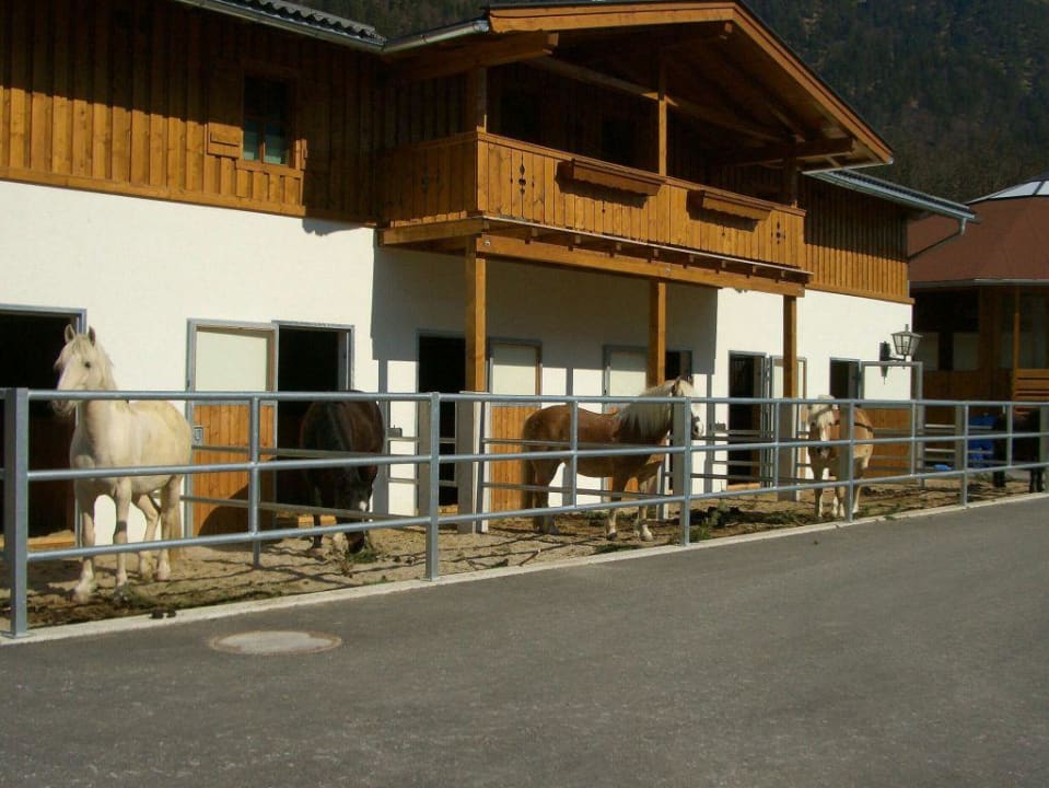 Pferdestall POST Family Resort