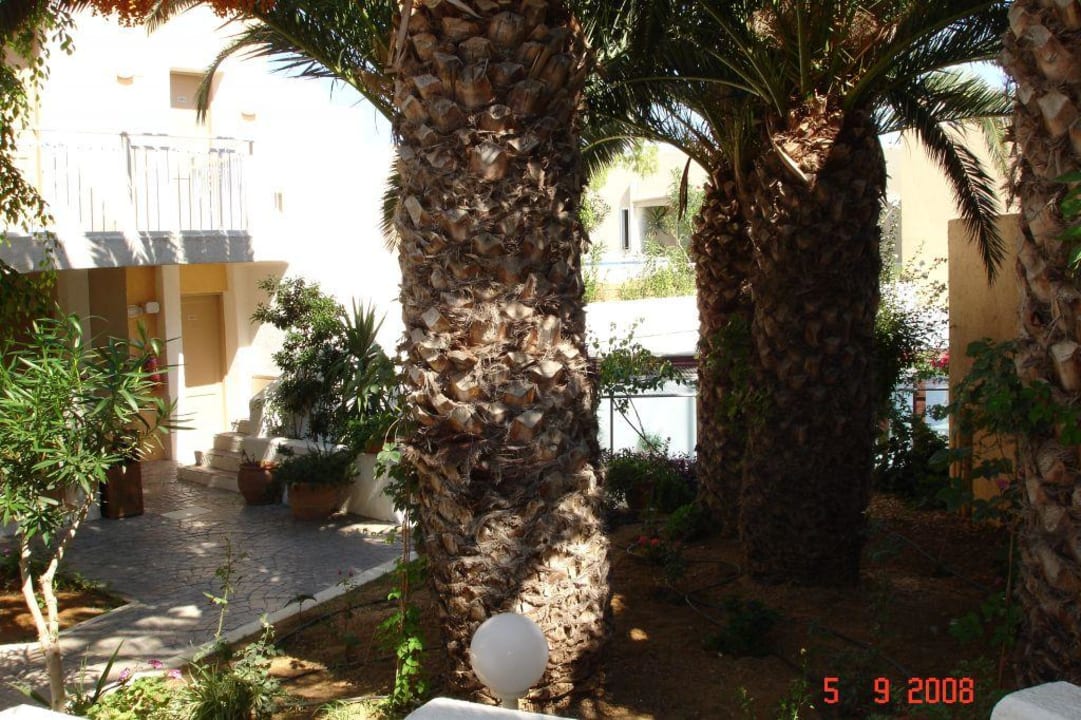 Hotelanlage Innenbereich Nefeli Hotel Rethymno