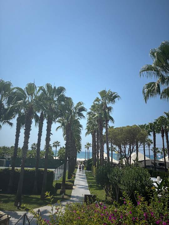 Gartenanlage Hotel Miramare Beach