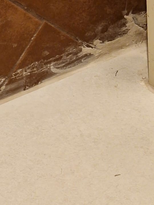 Zimmer Domes Aulūs Zante, Autograph Collection