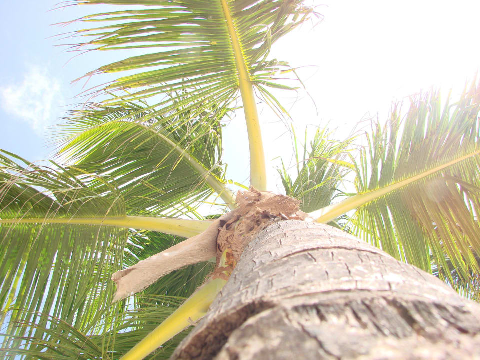 Strand Secrets Royal Beach Punta Cana - Adults only